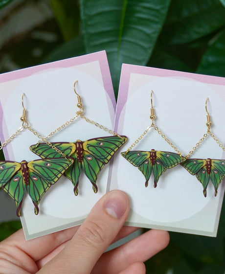 Spanish Moon Moths