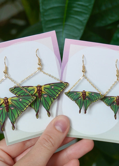 Spanish Moon Moths