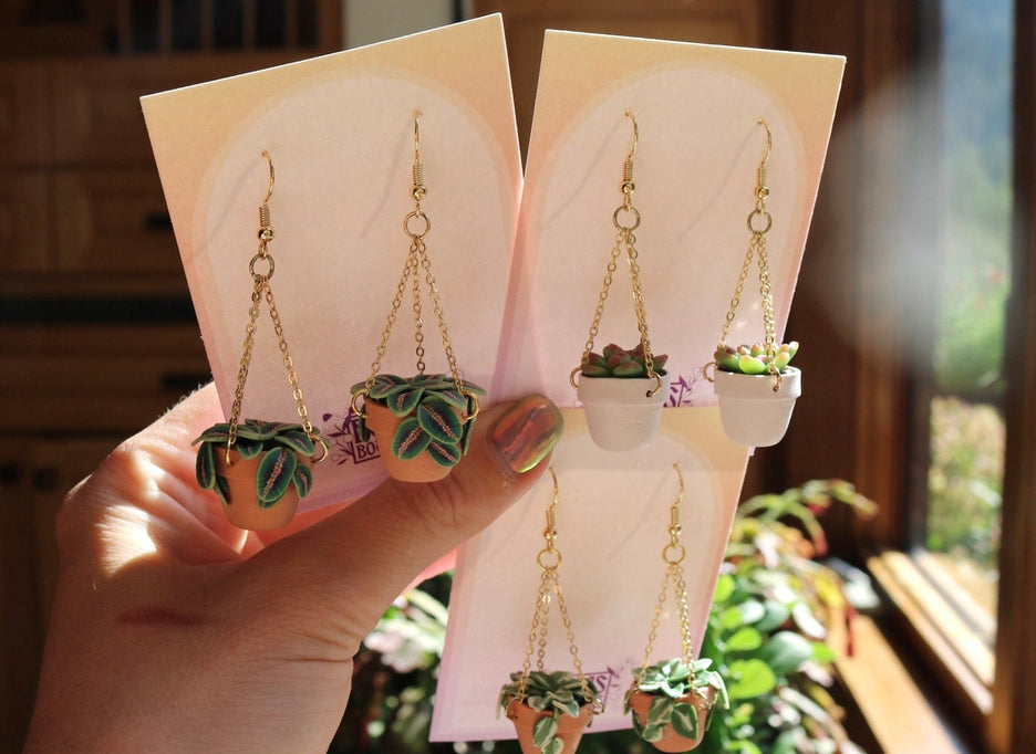 Plants With Chain Hangers