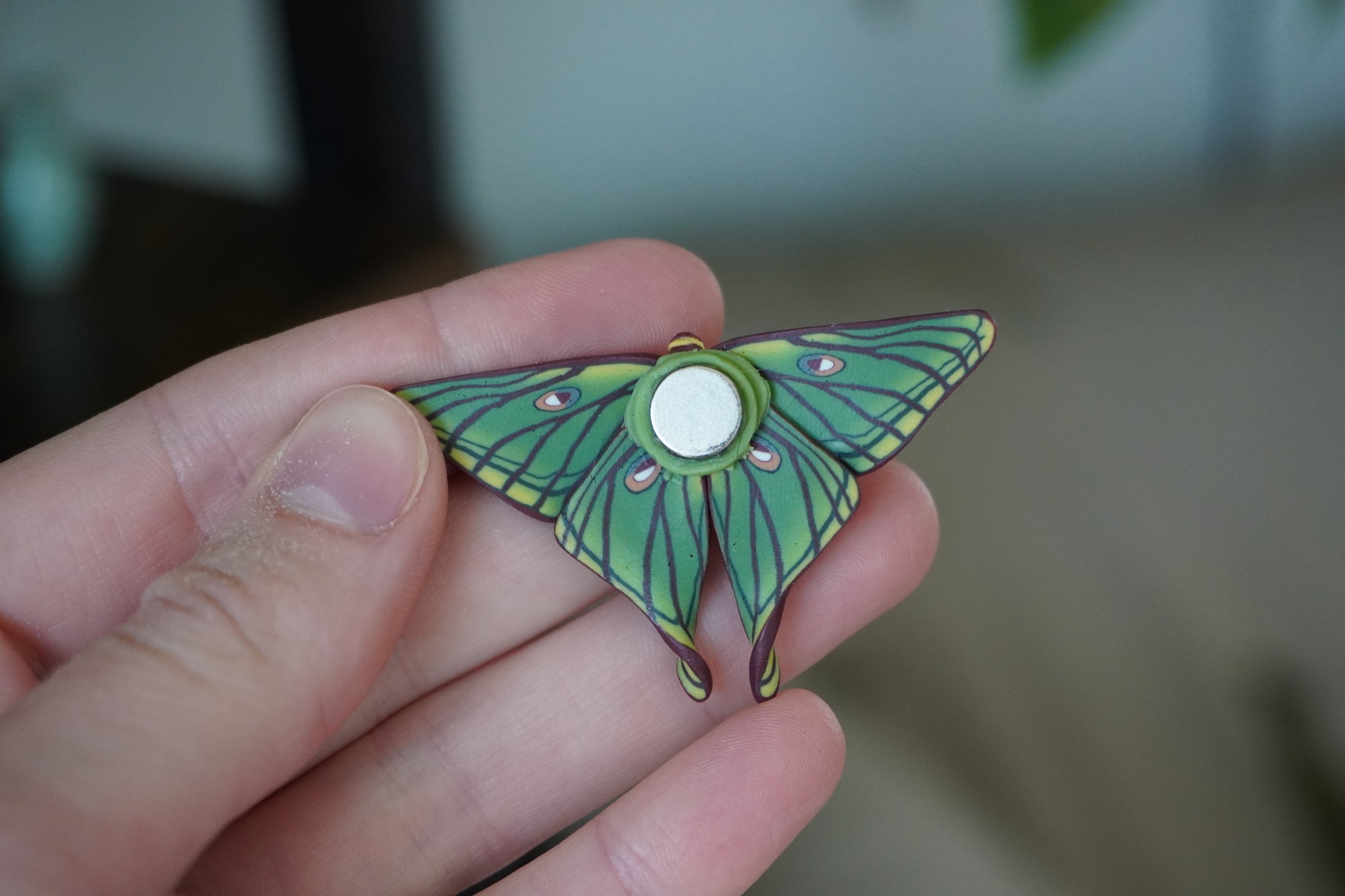Spanish Moon Moth Magnet