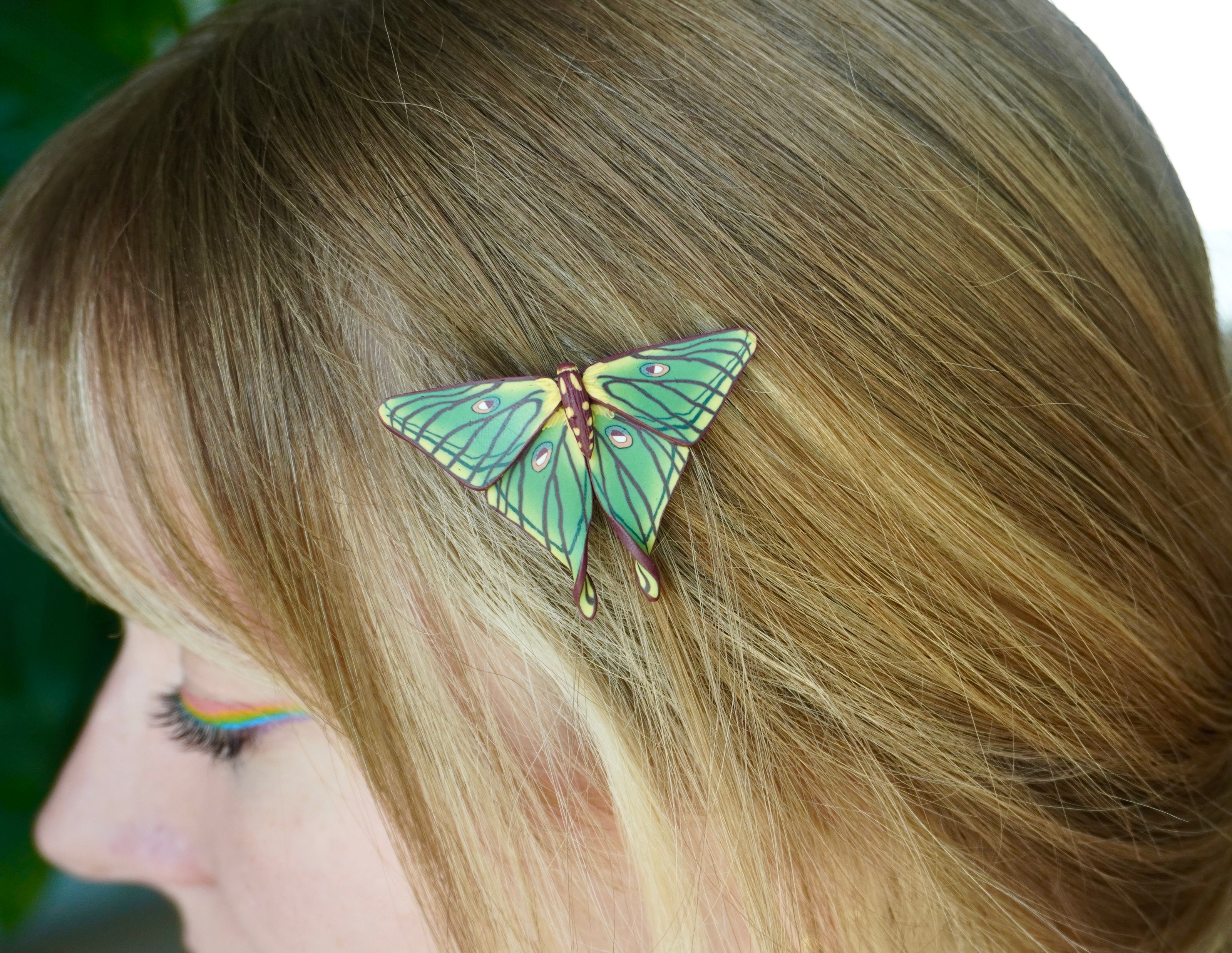 Spanish Moon Moth Clip