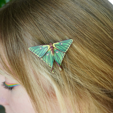 Spanish Moon Moth Clip