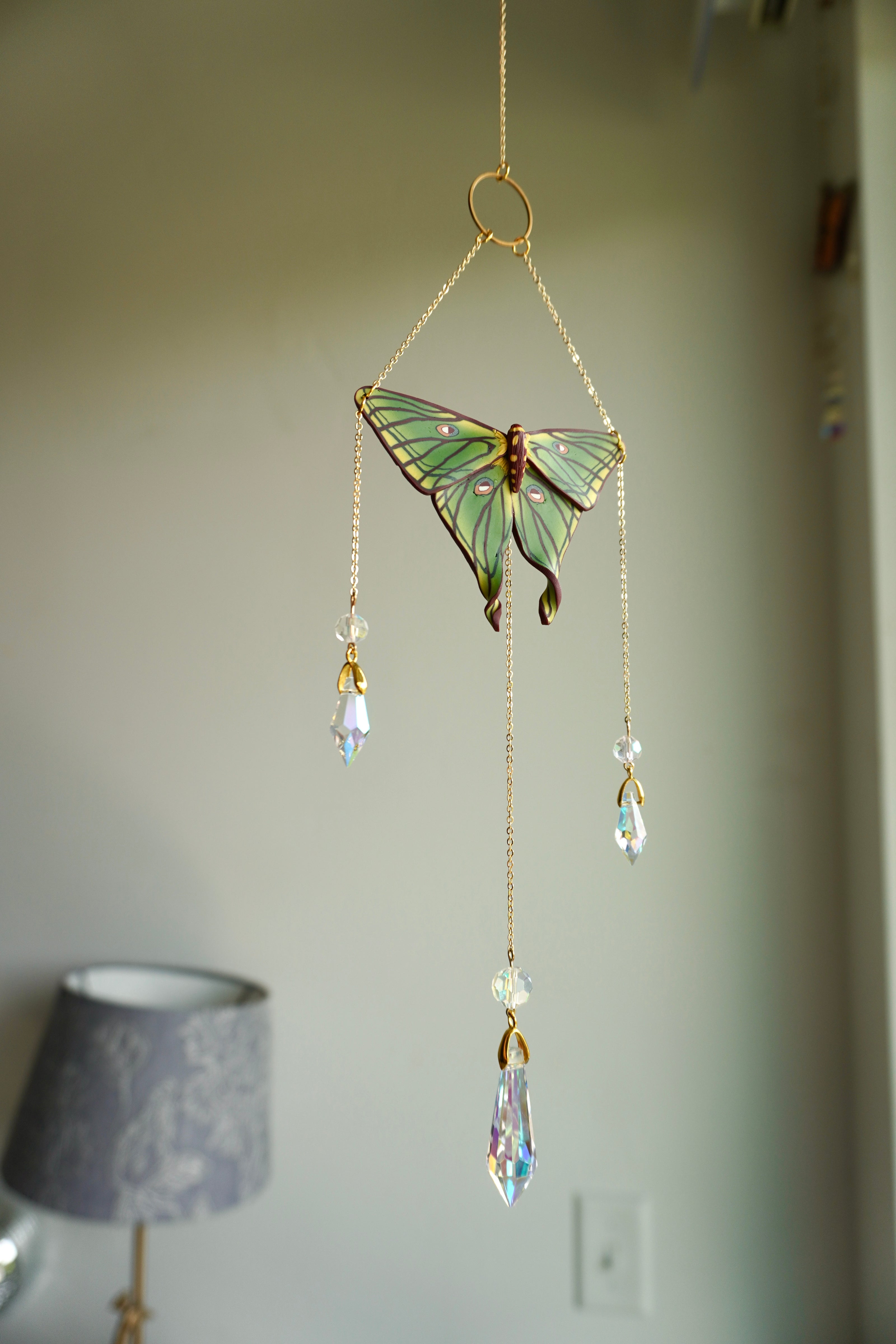 Spanish Moon Moth Sun Catcher