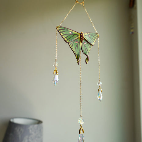 Spanish Moon Moth Sun Catcher