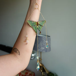 Spanish Moon Moth Sun Catcher