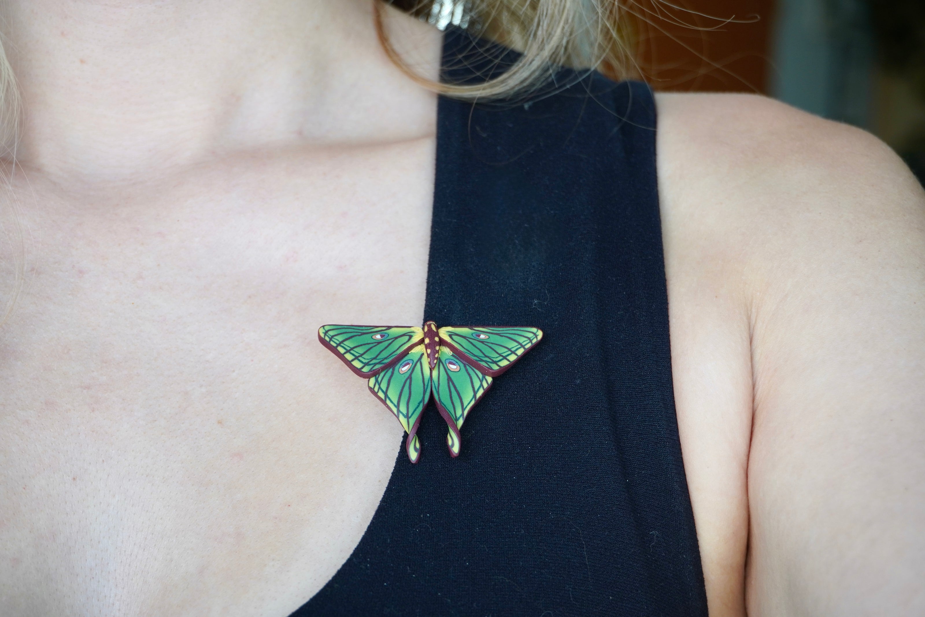 Spanish Moon Moth Clip