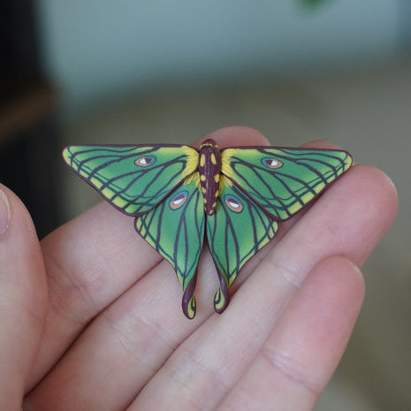 Spanish Moon Moth Magnet