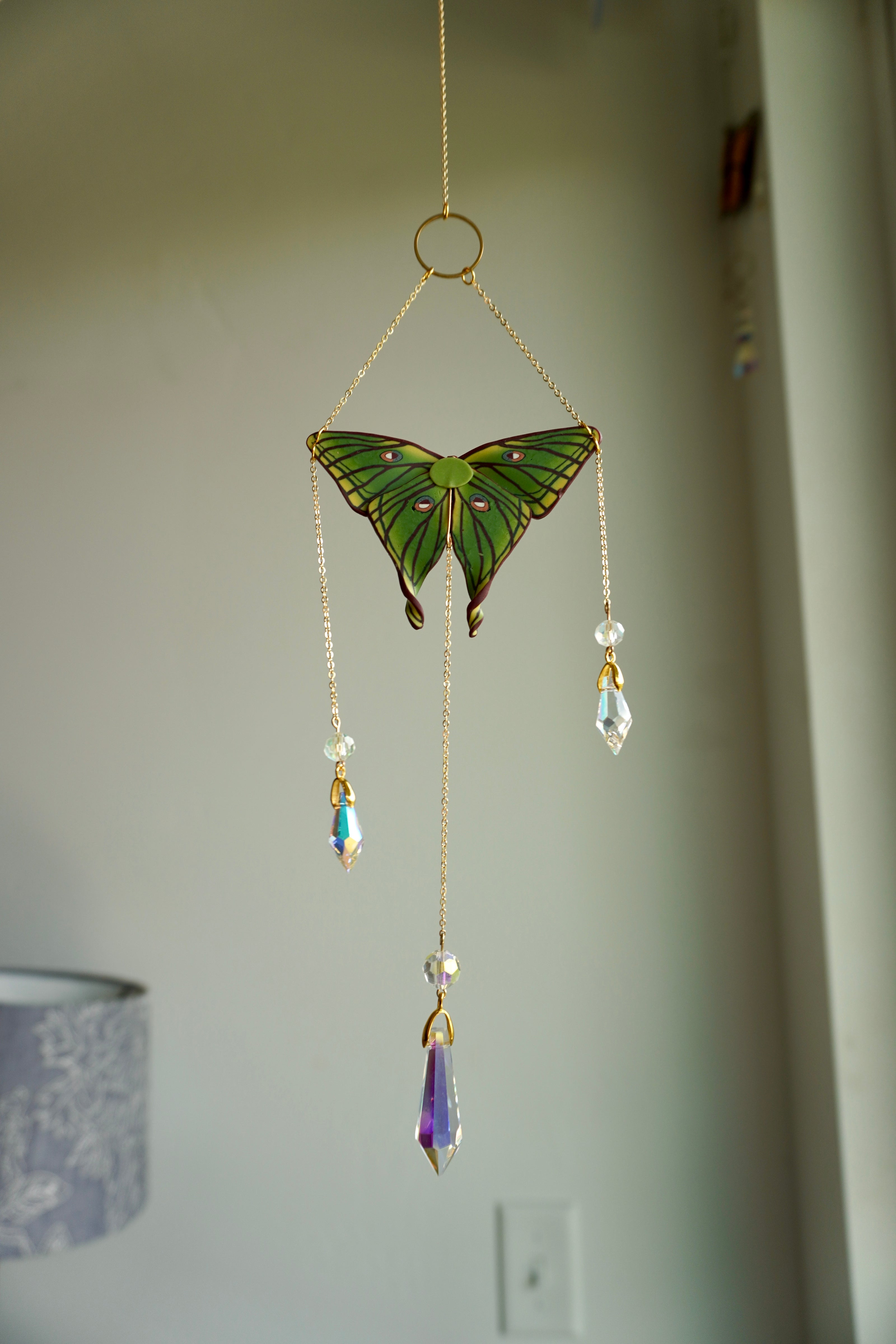 Spanish Moon Moth Sun Catcher