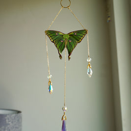 Spanish Moon Moth Sun Catcher