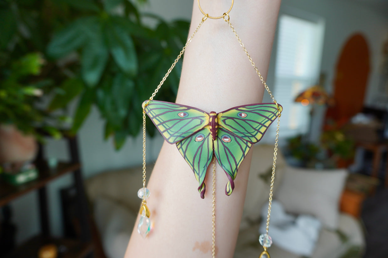 Spanish Moon Moth Sun Catcher