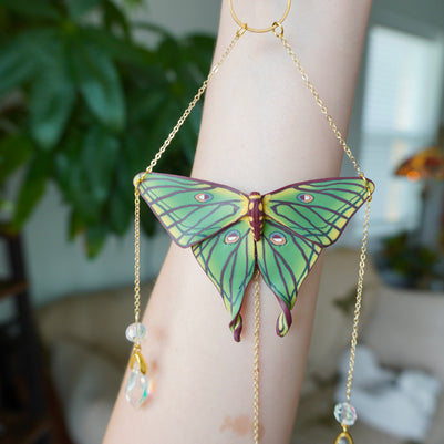 Spanish Moon Moth Sun Catcher