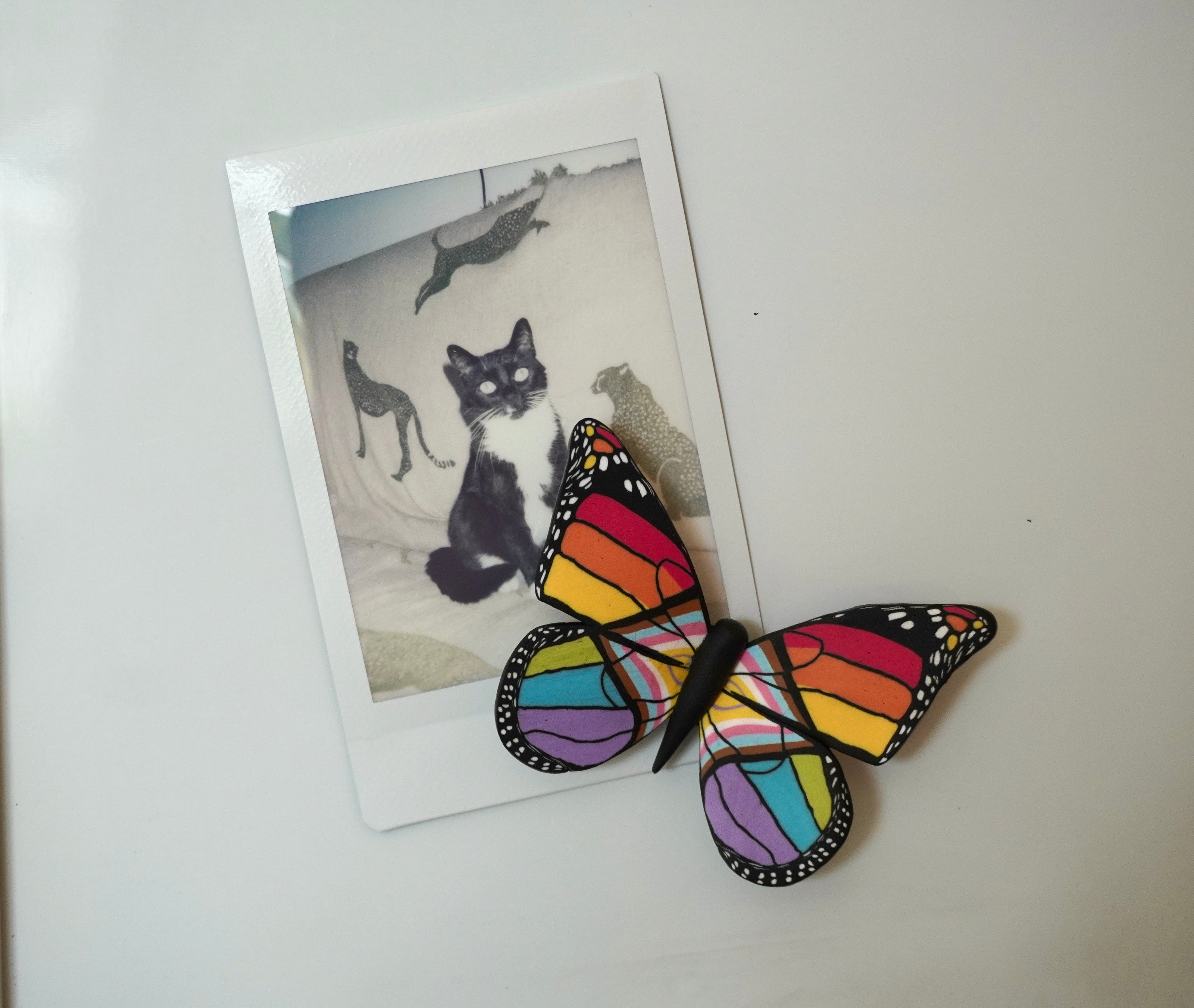 Large Pride Flag Butterfly Magnet