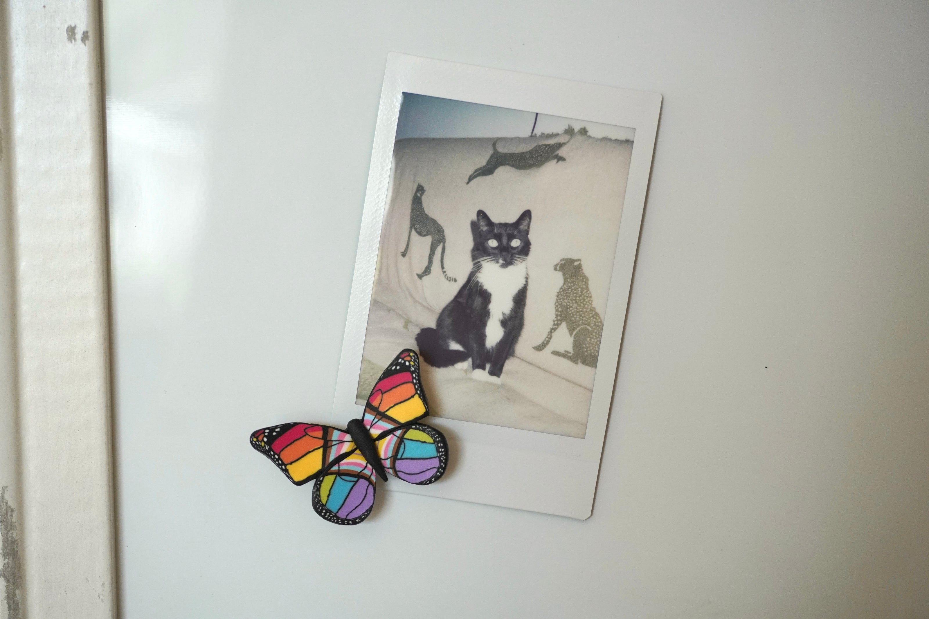 Small Pride Flag Butterfly Magnet