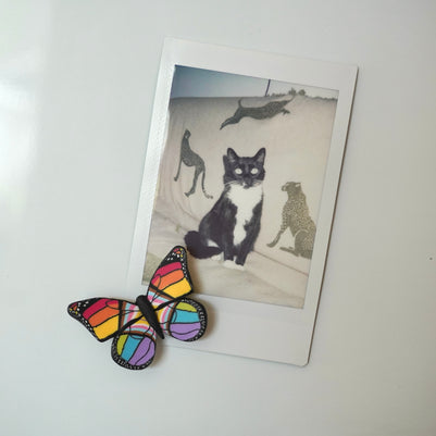 Small Pride Flag Butterfly Magnet